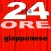 In 24 Ore Impara il giapponese