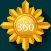 ANZAC 360