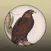 Field Guide to Northern Territory Fauna