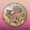 Field Guide to Queensland Fauna