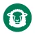 Condition Scoring of Sheep