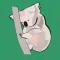 Great Victorian Koala Count