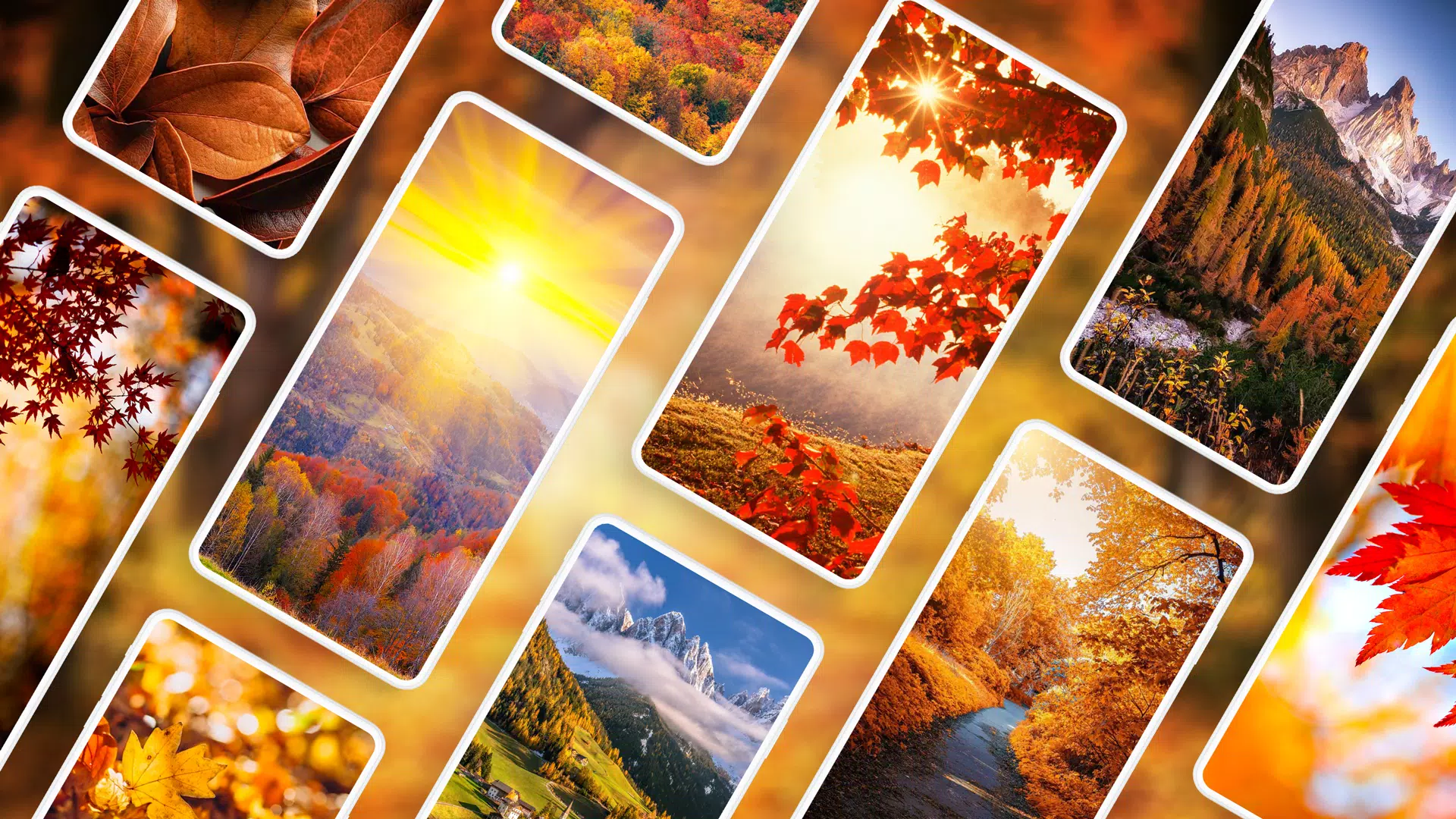 Autumn Wallpapers 4K Screenshots
