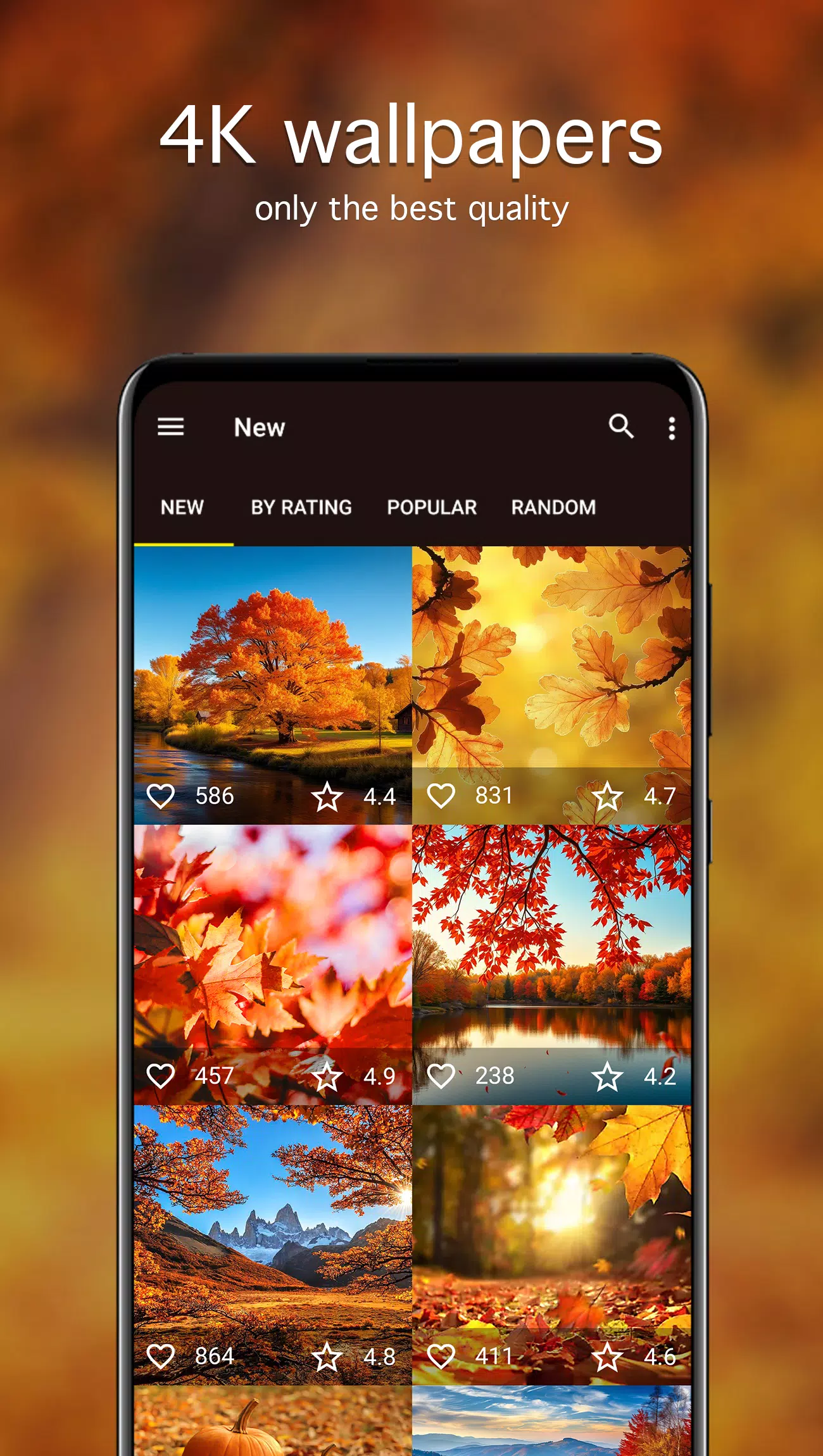 Autumn Wallpapers 4K Screenshots