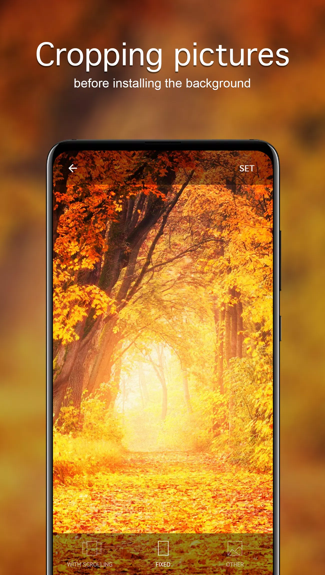 Autumn Wallpapers 4K Screenshots