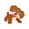 Animal Sounds and Photos