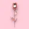Wallpaper for Girl - Pink Cute