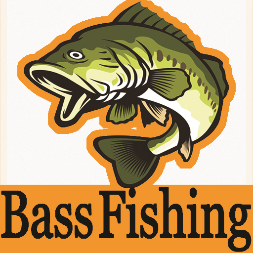 Bass Fishing