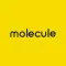 Molecule Fashion & Sport