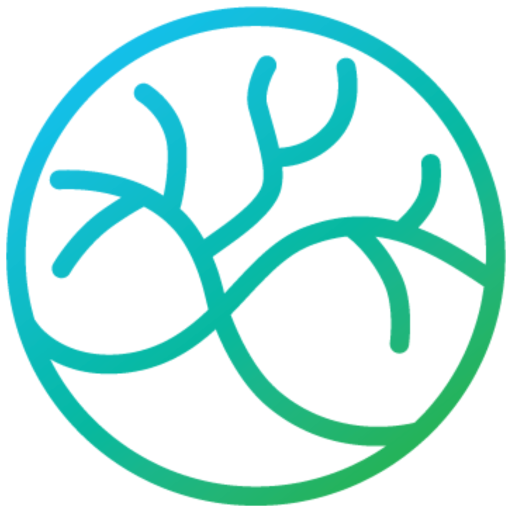 CareConnect into.care