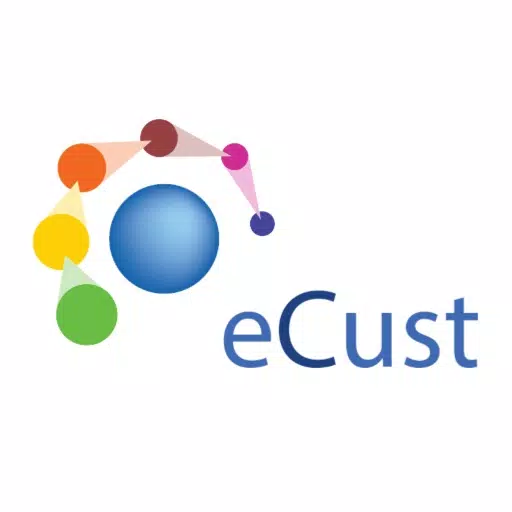 eCust Flow eCust Flow