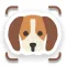 Dog Breed Identifier: AI