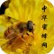 中华蜜蜂网