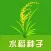 水稻种子
