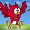 BIRD CAGE - Play To Win
