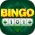 Bingo 101
