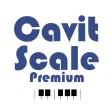 Cavit Scale