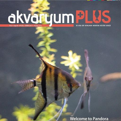 Akvaryum Plus 8