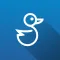 Blue Duck