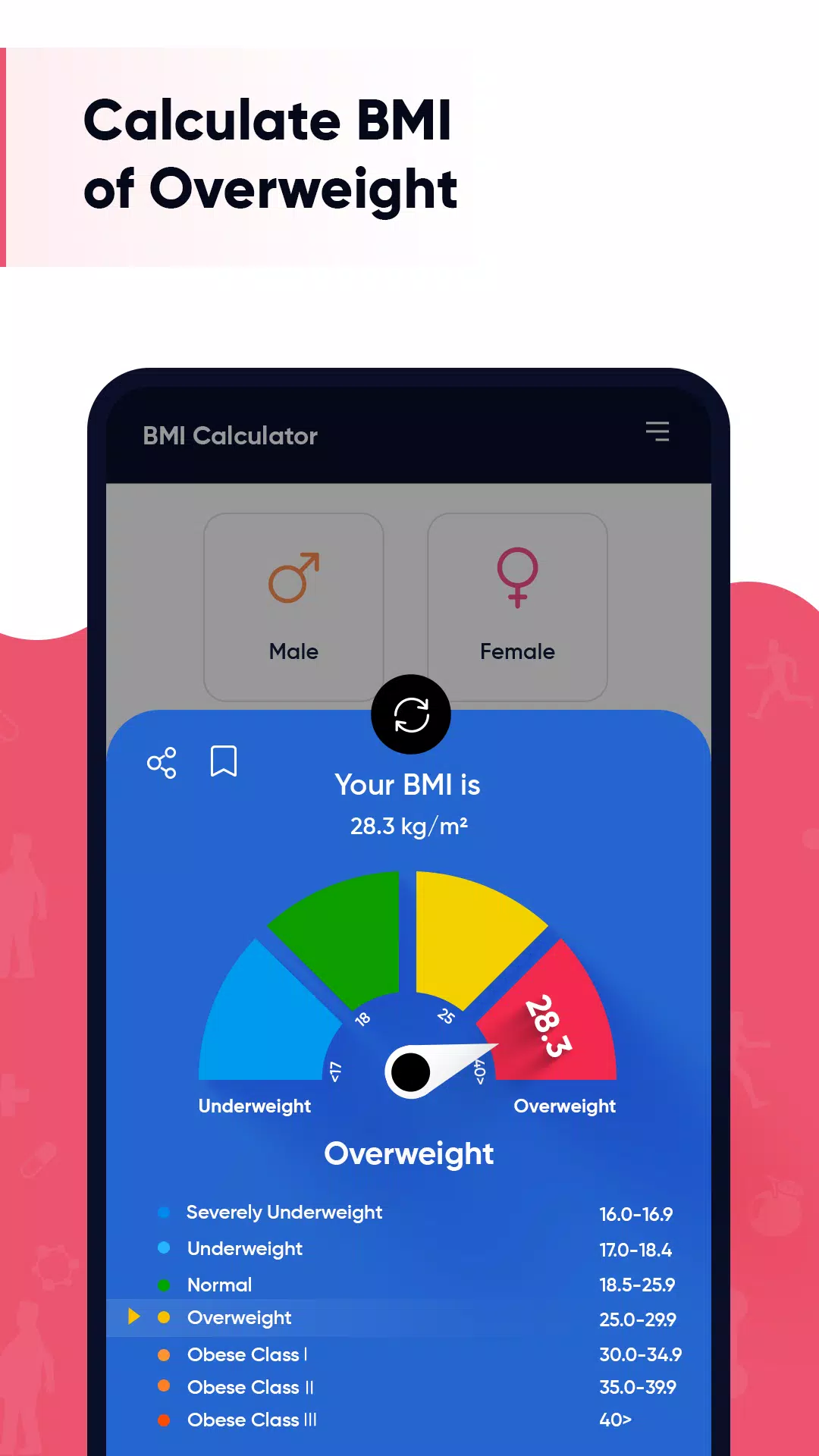 BMI Calculator Screenshots