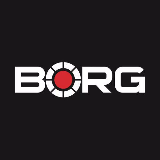 Borg Smart Lighting Borg Smart Lighting