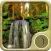 Forest Wallpaper: Best HD Wallpapers