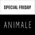 Animale - Moda Feminina