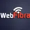 Web Fibra Provedor
