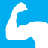 Muscle Contraction Muscle Contraction