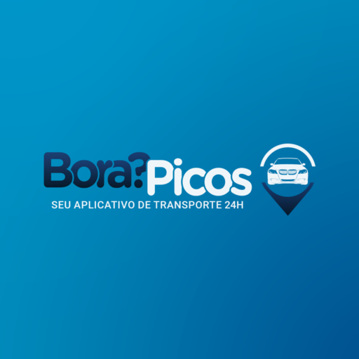 Bora?Picos - Motorista
