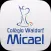 Publicare Micael