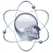 CRO Radiologia