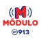 Módulo FM 91,3
