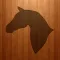 Meu Cavalo App