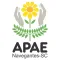 Apae Navegantes