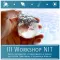 WORKSHOP NIT IB