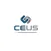 Ceus Ultrassonografia