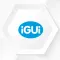 iGUi Eletronic System