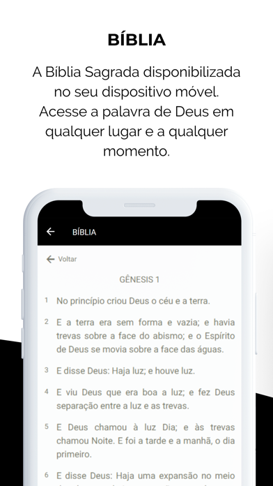 Videira de Palmas Screenshots