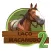 Laço Macanudo 2