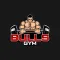 Academia Bulls Gym