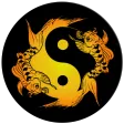 Acupuncture Assistant
