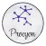 Procyon Tecnologia