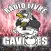 Rádio Livre Gaviões APP
