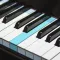 Real Piano electronic keyboard