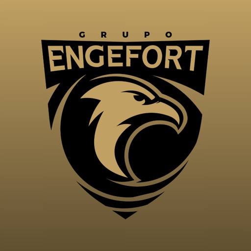 Engefort Alarme e Câmera Engefort Alarme e Câmera