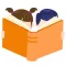 Primeira Leitura Kids