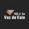Voz do Vale 103,3 FM