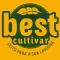 Best Cultivar