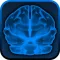 Brain Scan!